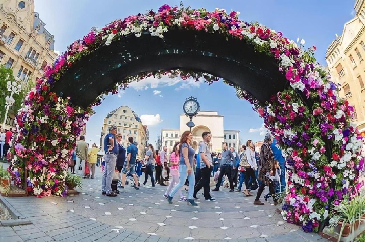 Belle Vue Ultracentral Apartments 티미쇼아라 외부 사진